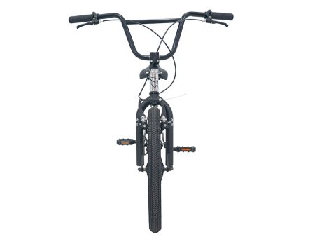 Bic Ghost SIGNALS BMX R20 CROMO